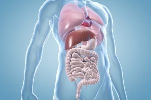Innere Medizin
